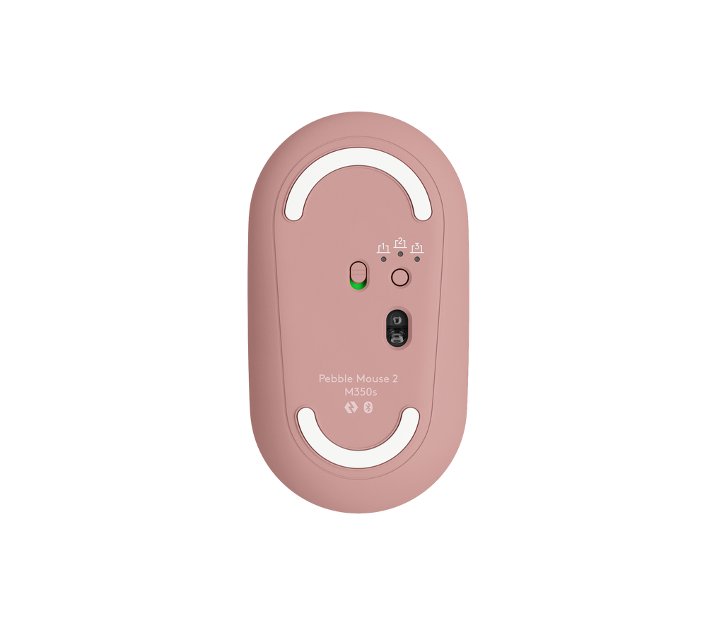 Pebble 2 Combo